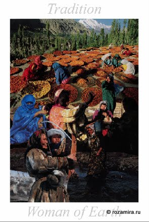 Nature Tarot by Jan Strube